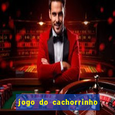 jogo do cachorrinho que ganha dinheiro